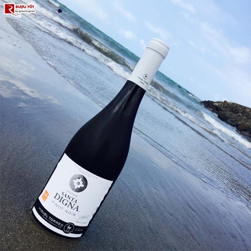 Vang đỏ Santa Digna Pinot Noir