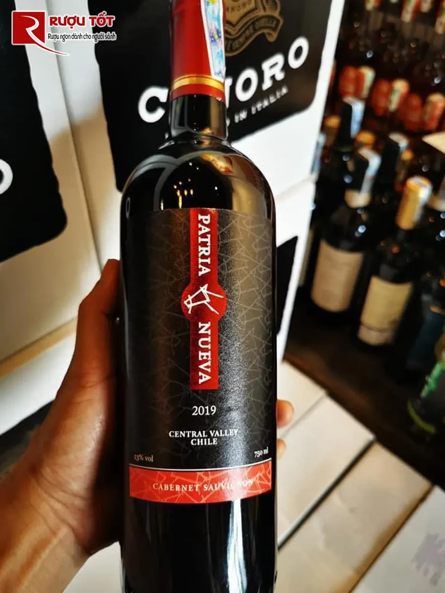 vang patria nueva cabernet sauvignon