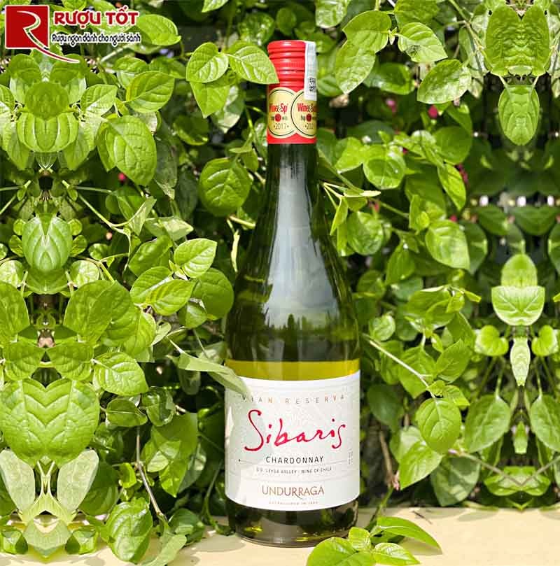 Vang tră gs Sibaris Chardonnay