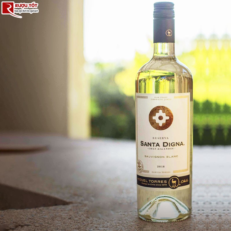 vang trắng Santa Digna Sauvignon Blanc