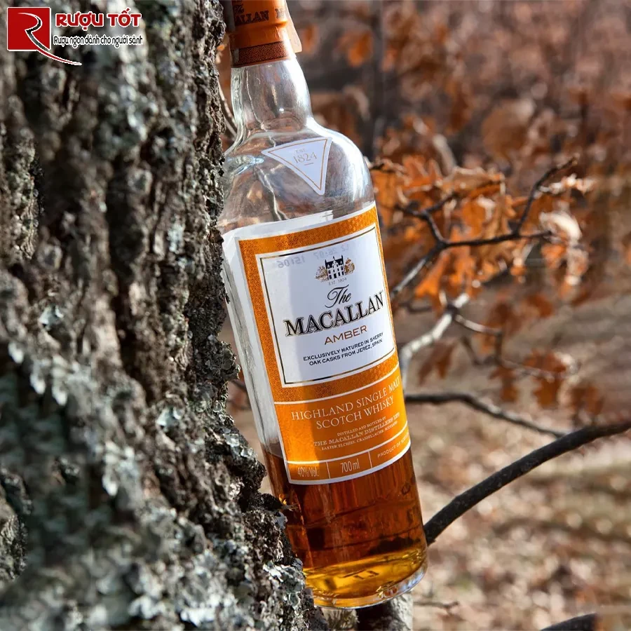 Ruou Whisky Macallan Amber