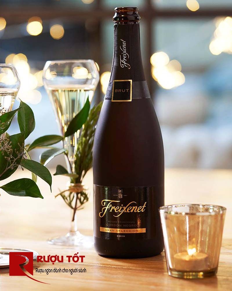 Vang Freixenet