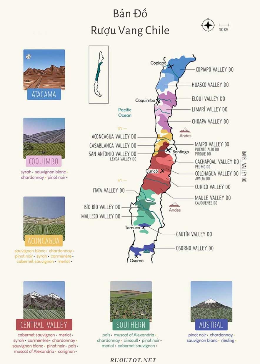 Bản Đồ Rượu Vang Chile