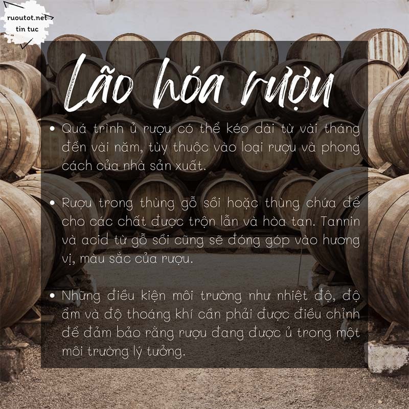 Chi tiết quy trình Ủ rượu (lão hóa rượu)