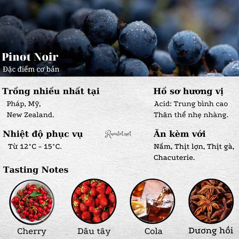 Đặc điểm hương vị của nho Pinot Noir