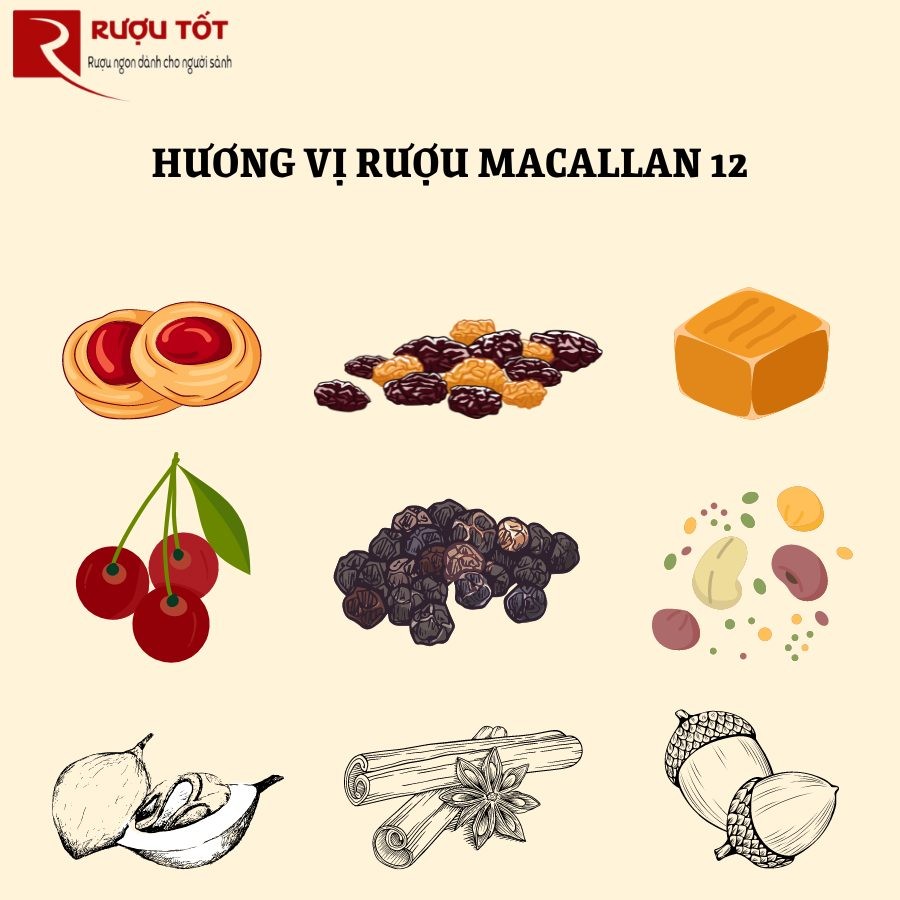 Hương vị các loại rượu macallan 12