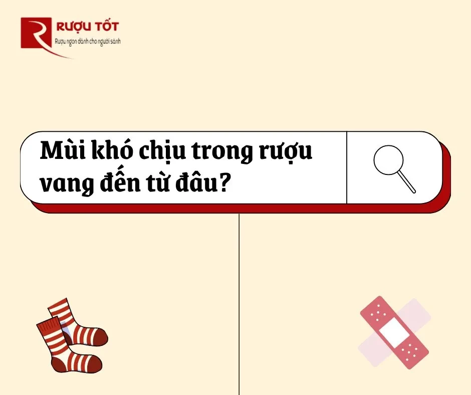 Mùi khó chịu trong rượu vang