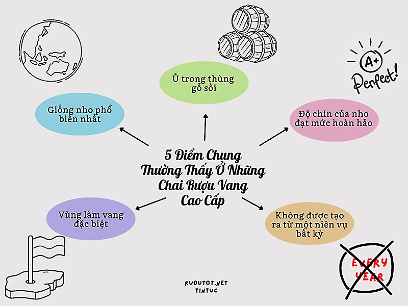 Năm Điểm Chung Thường Thấy Ở Những Chai Rượu Vang Cao Cấp