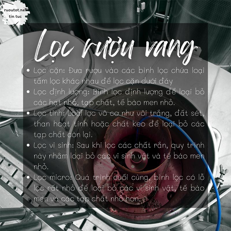 Quy trình lọc rượu vang