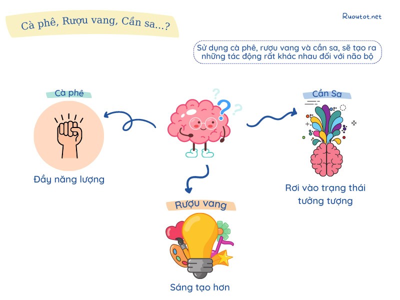 Rượu vang, cà phê và cần sa tác động đến não bộ như thế nào