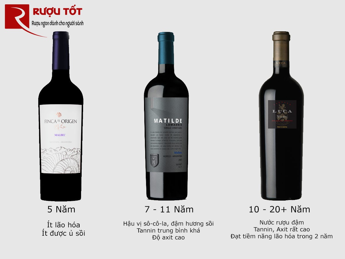 Thời gian lão hóa của vang Malbec Mendoza