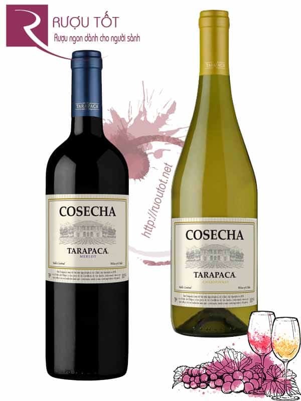 Vang Chile Cosecha Tarapaca (Red - White)