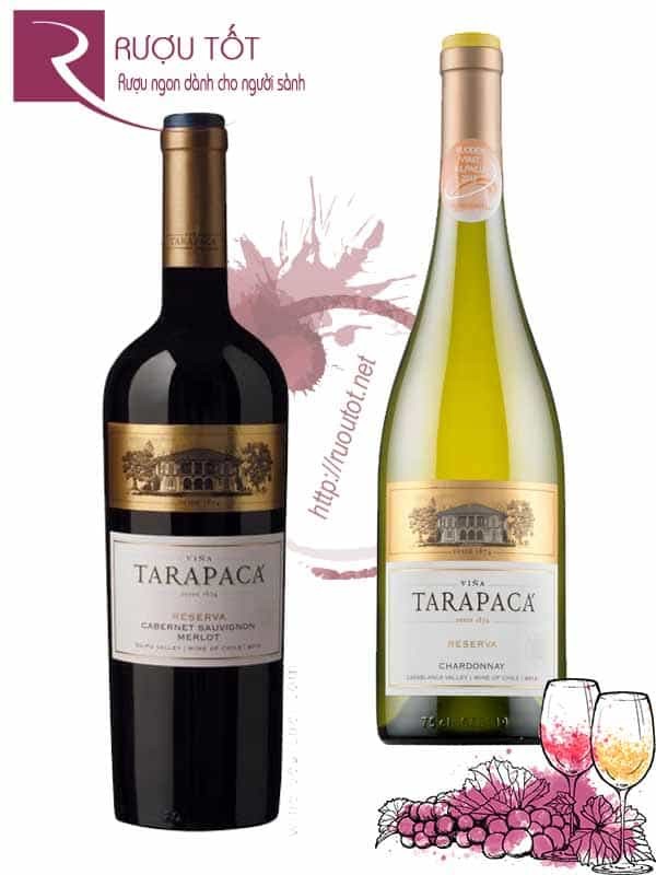 Vang Chile Tarapaca Reserva (Red - White)