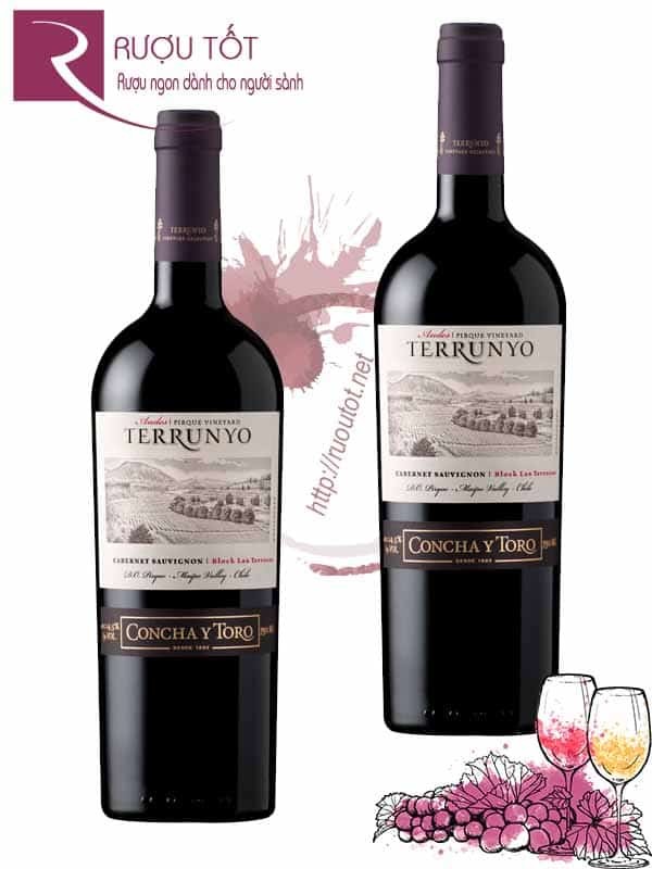 Vang Chile Concha y Toro Terrunyo Cabernet Sauvignon