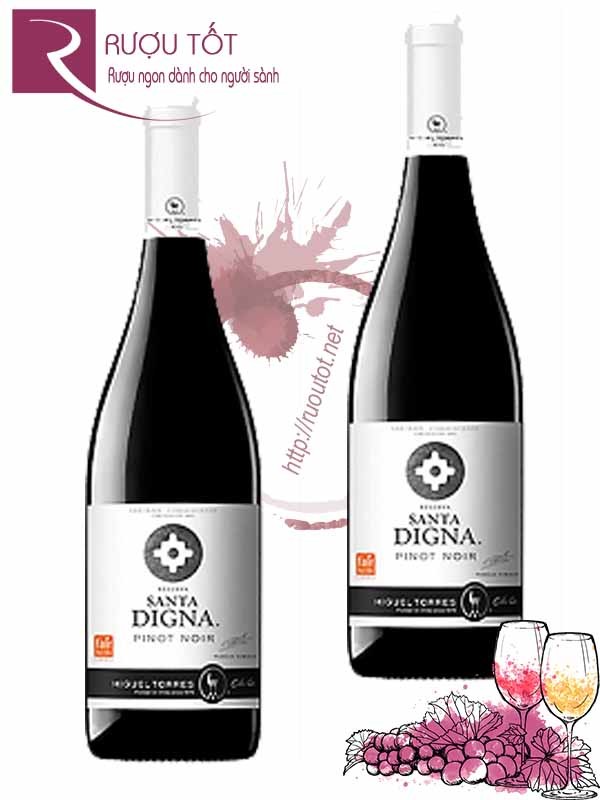 Vang Chile Santa Digna Pinot Noir Thượng hạng