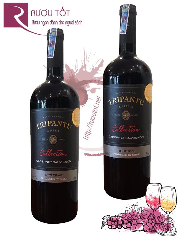 Vang Chile Tripantu Reserve Cabernet Sauvignon Thượng hạng