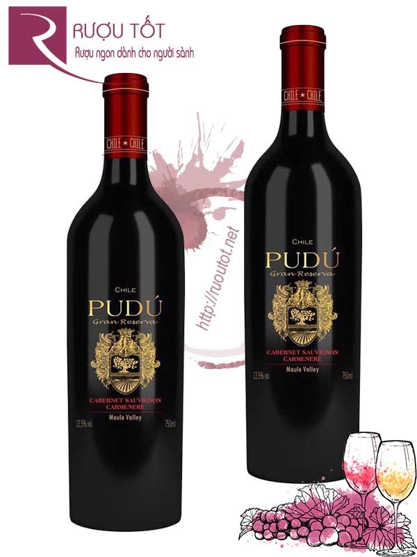 Vang Chile Pudu Cabernet Sauvignon Gran Reserva Chiết khấu cao