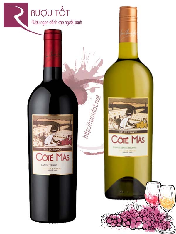 Vang Pháp Cote Mas Languedoc (đỏ-trắng) Cao cấp