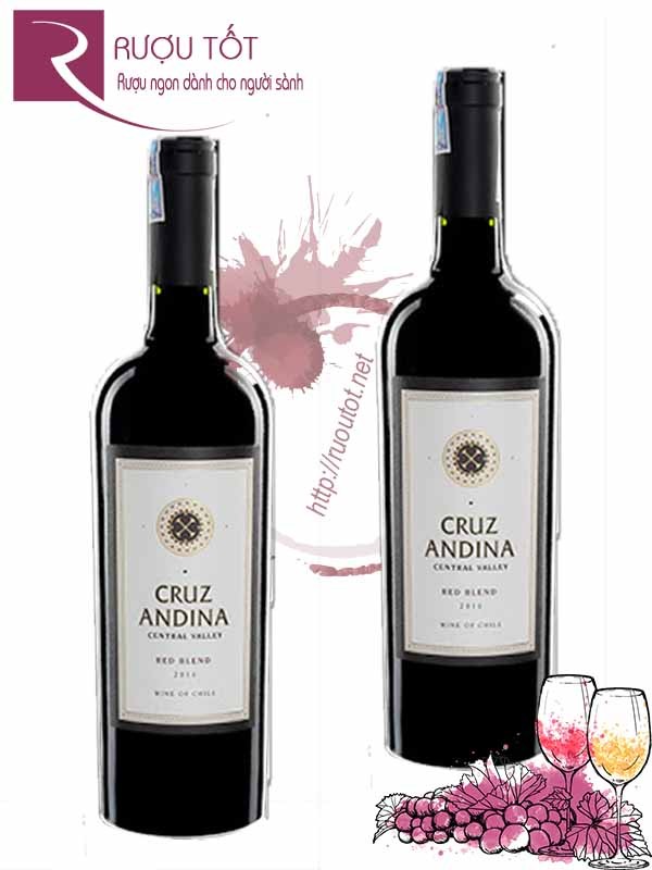 Vang Chile Cruz Andina Red Blend Cao cấp