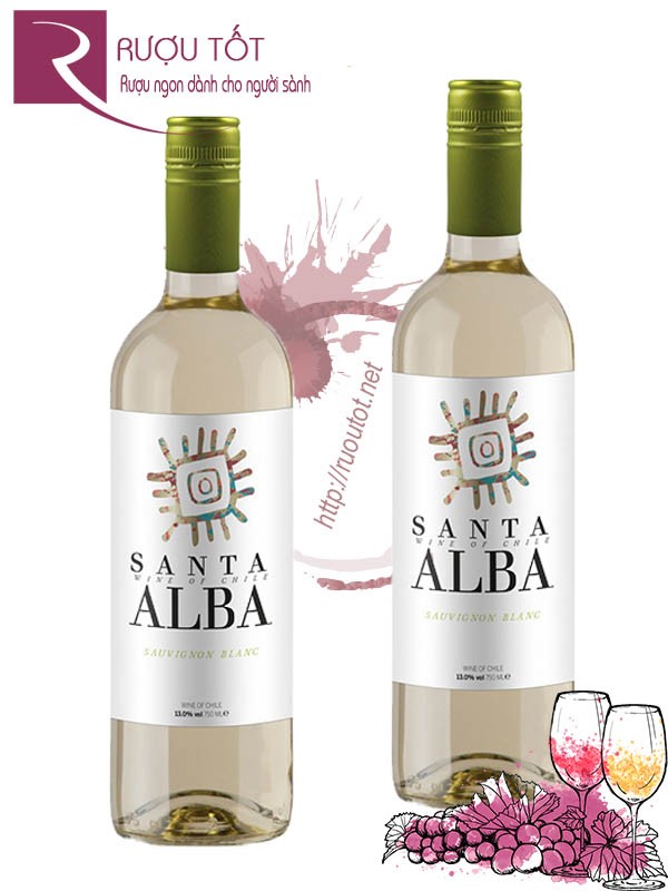 Vang Chile Santa Alba Sauvignon Blanc Curico Valley Cao cấp