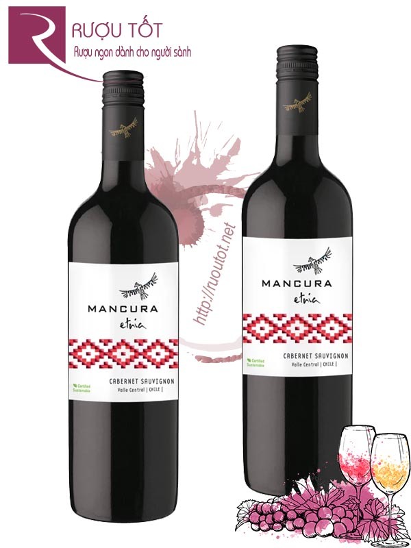 Vang Chile Mancura Etnia Cabernet Sauvignon Cao cấp