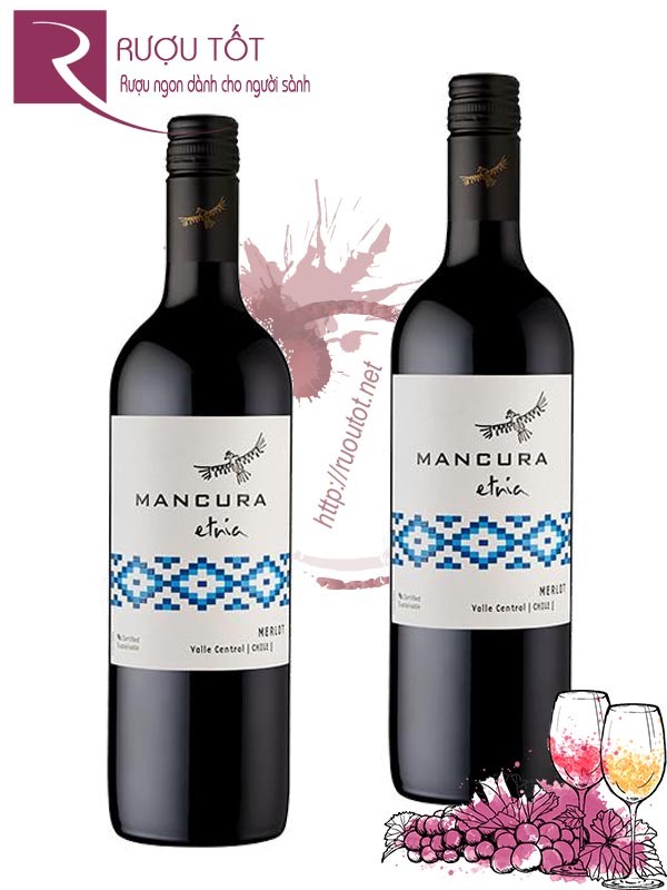 Vang Chile Mancura Etnia Merlot Thượng hạng