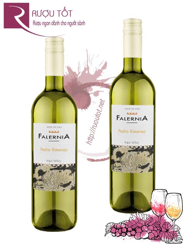 Vang Chile Falernia Sauvignon Blanc Reserva Cao cấp