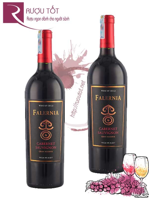 Vang Chile Falernia Cabernet Sauvignon Gran Reserva Thượng hạng