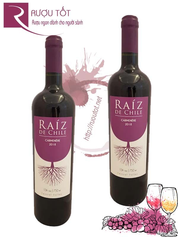 Vang Chile Raiz De Chile Carmenère Thượng hạng