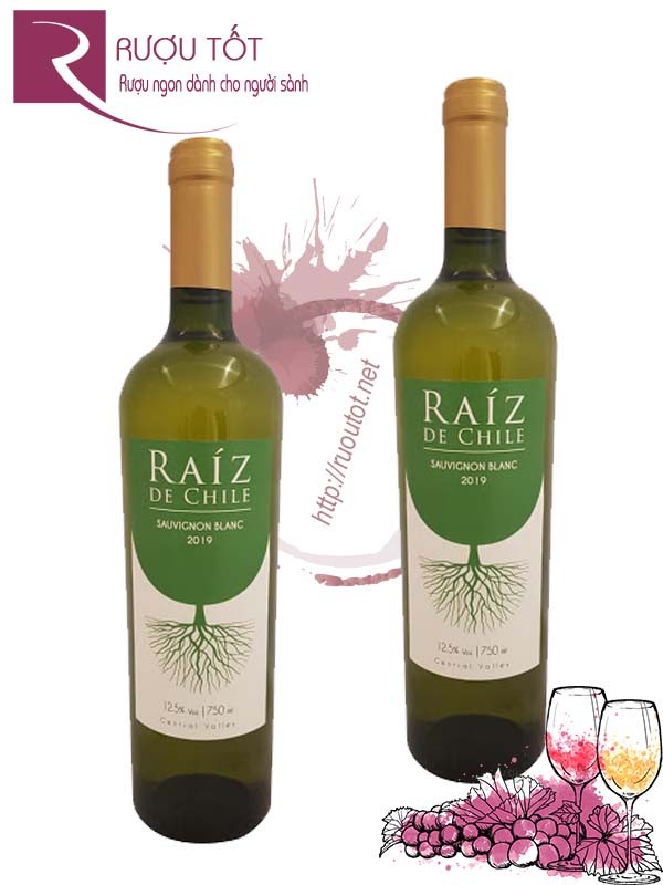 Vang Chile Raiz De Chile Sauvignon Blanc Thượng hạng