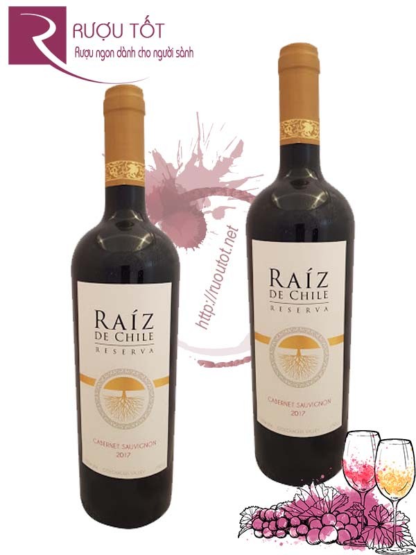 Vang Chile Raiz De Chile Cabernet Sauvignon Reserva Cao cấp