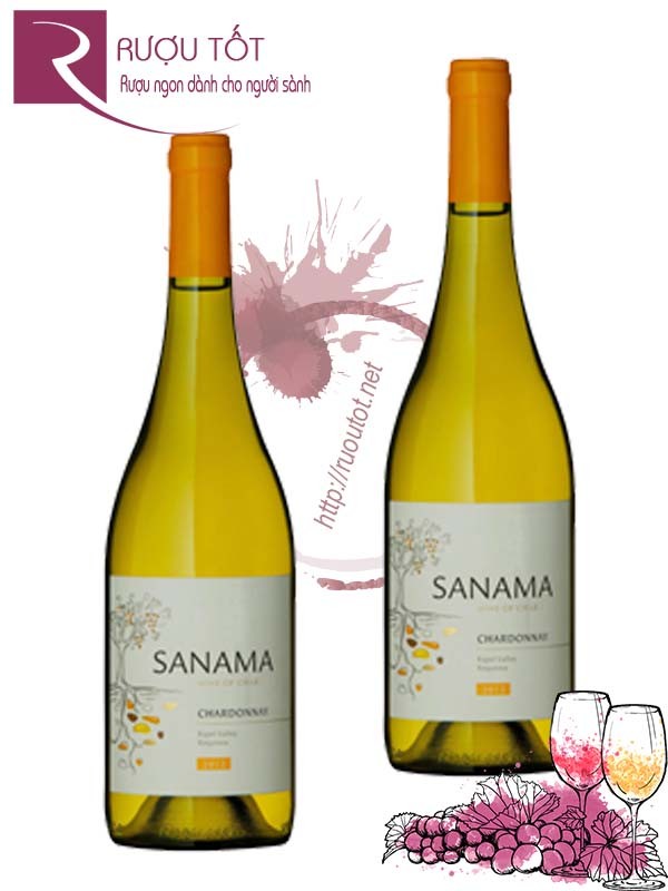 Vang Chile Sanama Chardonnay Cao cấp