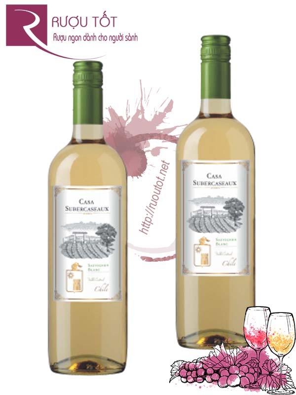 Vang Chile Casa Subercaseaux Sauvignon Blanc Thượng hạng