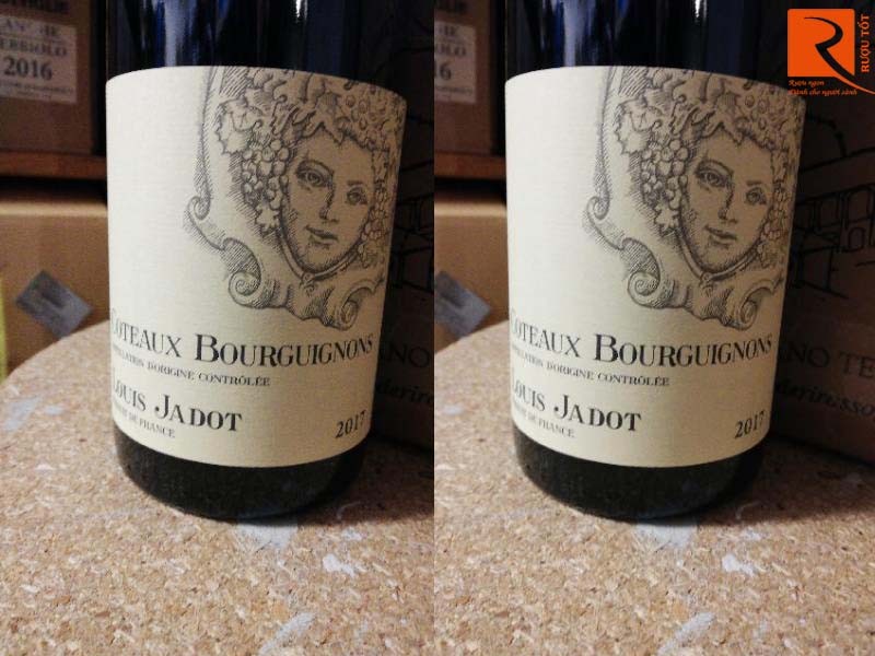 Louis Jadot Coteaux Bourguignon