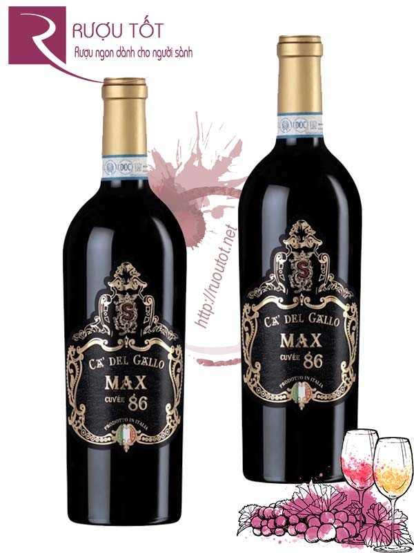 Vang Ý Max Cuvee 86 Ca' Dell Gallo Salvano Chính hãng