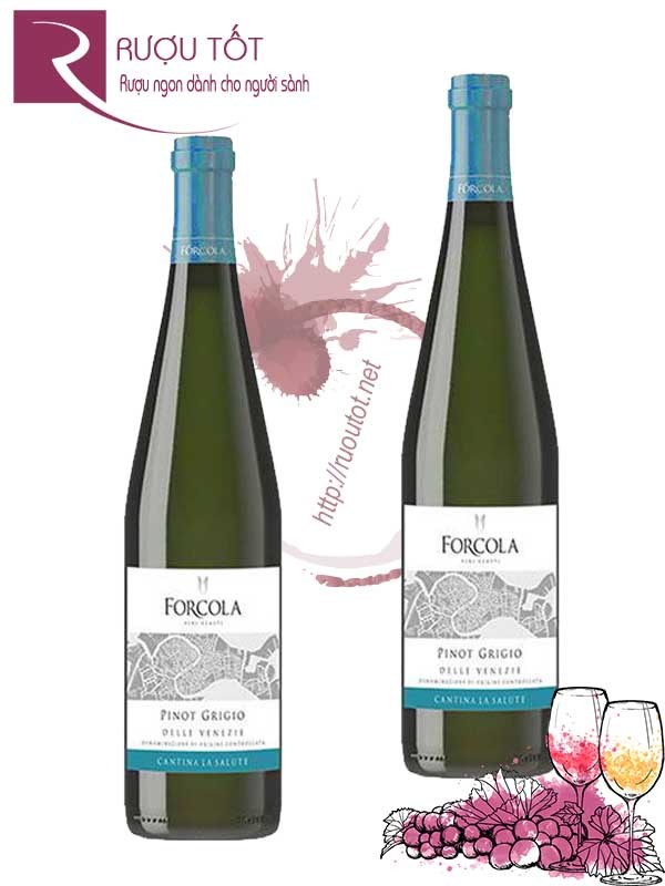 Vang Ý vang Forcola Pinot Grigio Veneto Cantina La Salute IGT Chính hãng