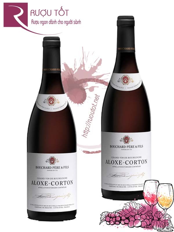 Vang Pháp Aloxe Corton Bouchard Pere et Fils Hảo hạng