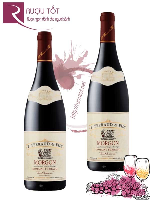 Vang Pháp Morgon Domaine Ferraud Les Charmes Hảo hạng