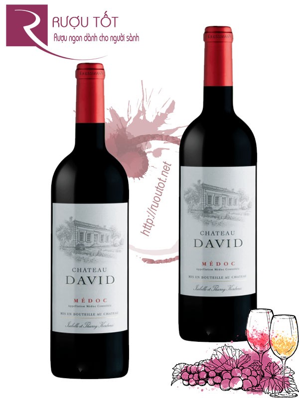 Vang Pháp Chateau David Medoc AOP Giá Tốt