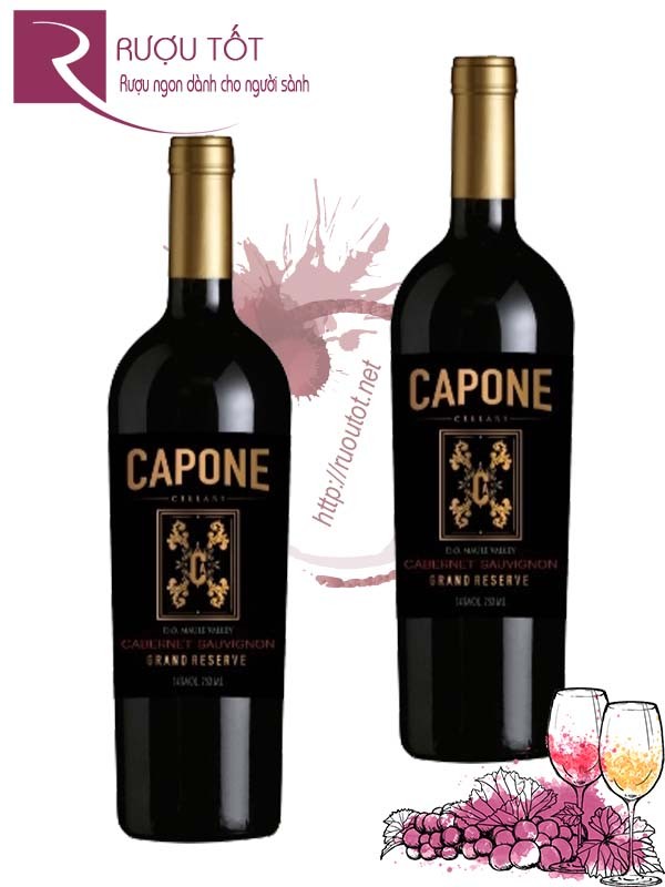 Vang Chile Capone Grand Reserve Cabernet Sauvignon Hảo hạng