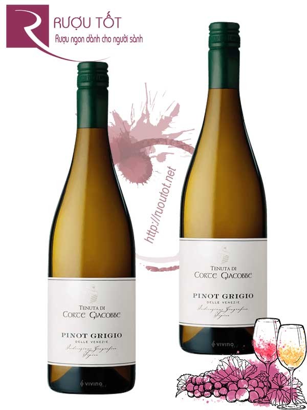 Vang Ý Corte Giacobbe Pinot Grigio Delle Venezie Cao Cấp