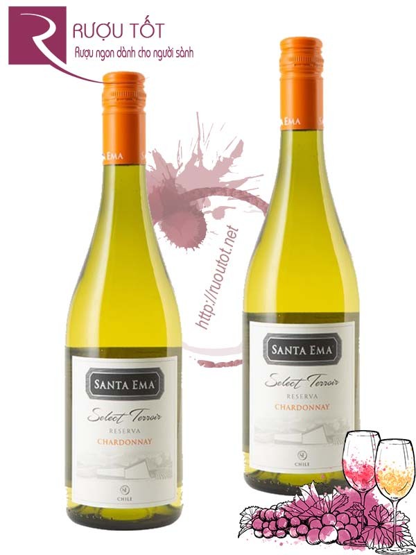 Rượu Vang Santa Ema Chardonnay Terroir Reserva Cao Cấp