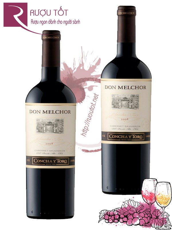 Vang Chile Concha y Toro Don Melchor Cabernet Sauvignon