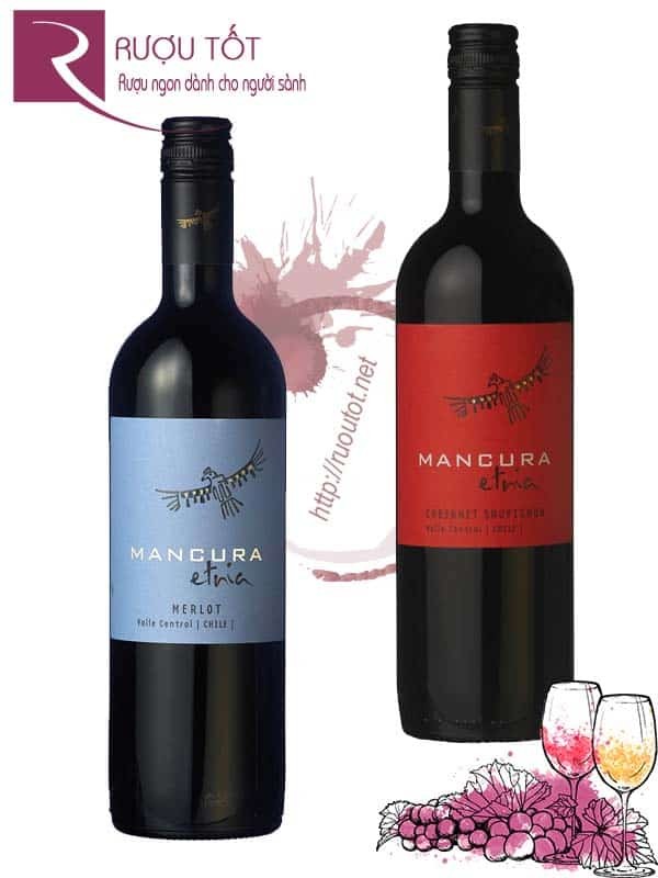 Vang Chile Mancura Etnia Cabernet Sauvignon - Merlot Cao Cấp