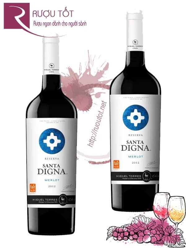 Rượu Vang Santa Digna Merlot Reserva Miguel Torres