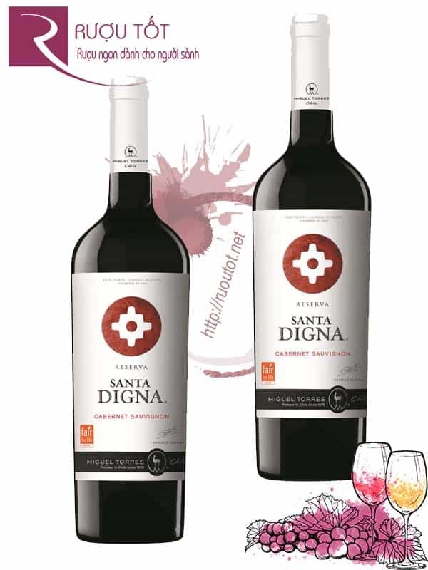 Vang Chile Santa Digna Reserva Cabernet Sauvignon Cao cấp