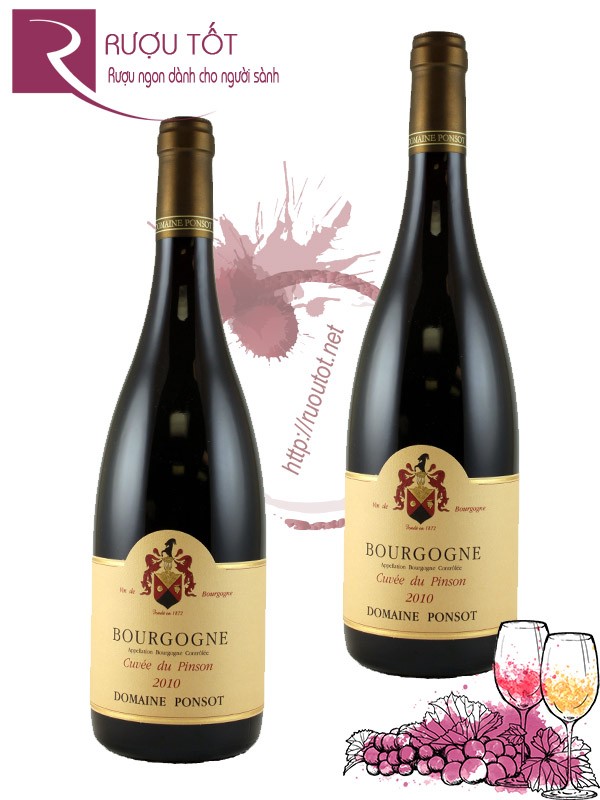 Vang Pháp Bourrgogne Cuvee du Pinson Domaine Ponsot Cao Cấp