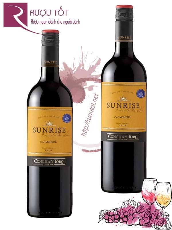 Vang Chile Concha Y Toro Sunrise Carmenere Thượng hạng