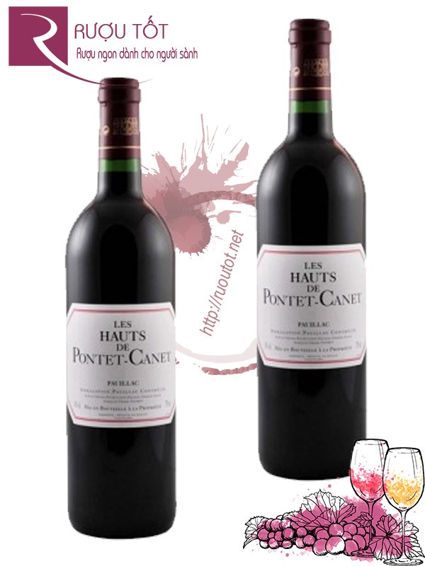 Vang Pháp Les Hauts de Pontet Canet Pauillac Thượng hạng