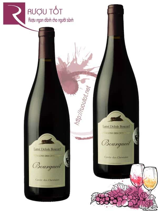 Vang Pháp Bourgueil Domaine des Chesnaies